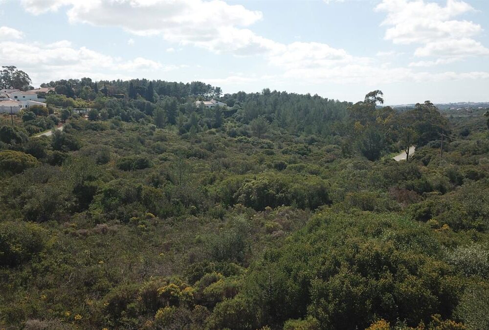 Plot Colinas Verdes, Bensafrim Algarve Portugal